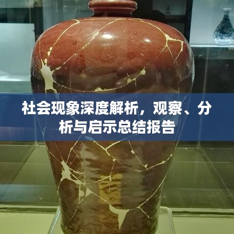 社会现象深度解析，观察、分析与启示总结报告