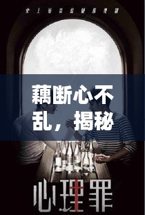 藕断心不乱，揭秘背后的情感纠葛与真相探索