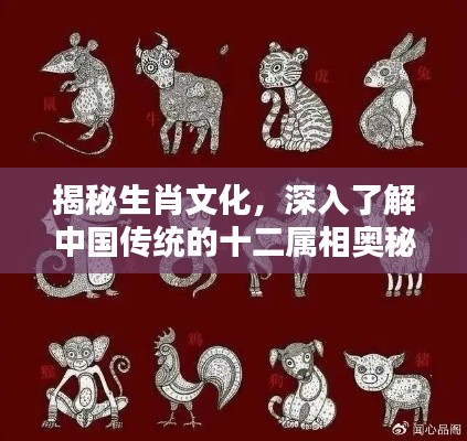 揭秘生肖文化，深入了解中国传统的十二属相奥秘