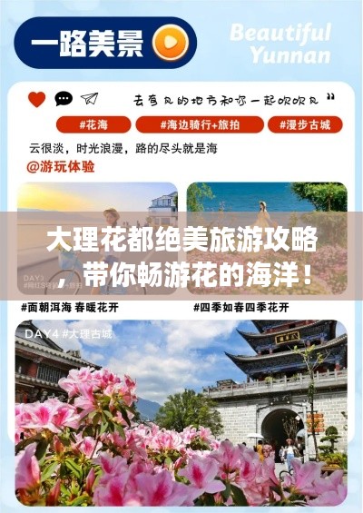 大理花都绝美旅游攻略，带你畅游花的海洋！