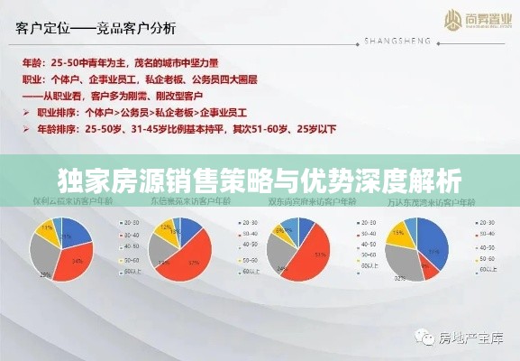 独家房源销售策略与优势深度解析