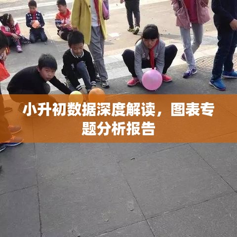 小升初数据深度解读，图表专题分析报告