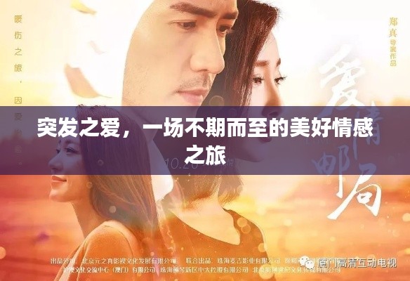 突发之爱，一场不期而至的美好情感之旅