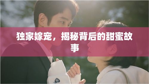 独家嫁宠，揭秘背后的甜蜜故事