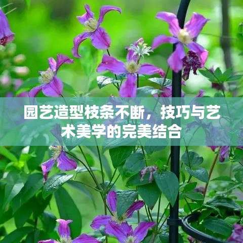 园艺造型枝条不断，技巧与艺术美学的完美结合