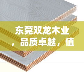 东莞双龙木业，品质卓越，值得信赖的木材供应商，百度为您精选推荐！
