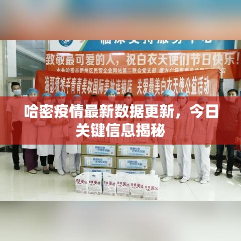 哈密疫情最新数据更新，今日关键信息揭秘