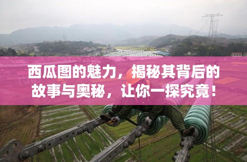 西瓜图的魅力，揭秘其背后的故事与奥秘，让你一探究竟！