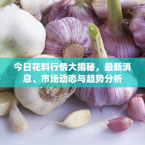今日花料行情大揭秘，最新消息、市场动态与趋势分析