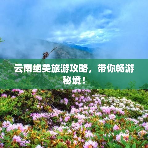 云南绝美旅游攻略，带你畅游秘境！