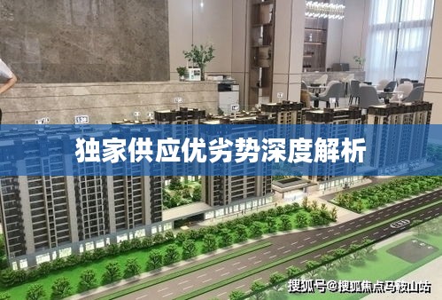独家供应优劣势深度解析