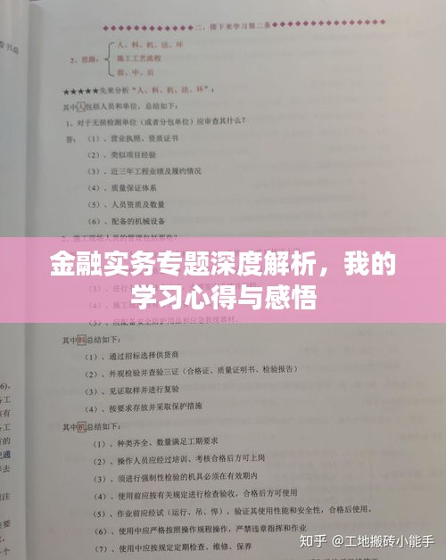 金融实务专题深度解析，我的学习心得与感悟