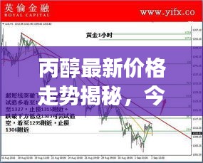丙醇最新价格走势揭秘，今日行情分析与市场趋势解读