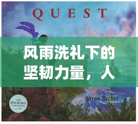 风雨洗礼下的坚韧力量，人生旅途的洗礼与成长之路