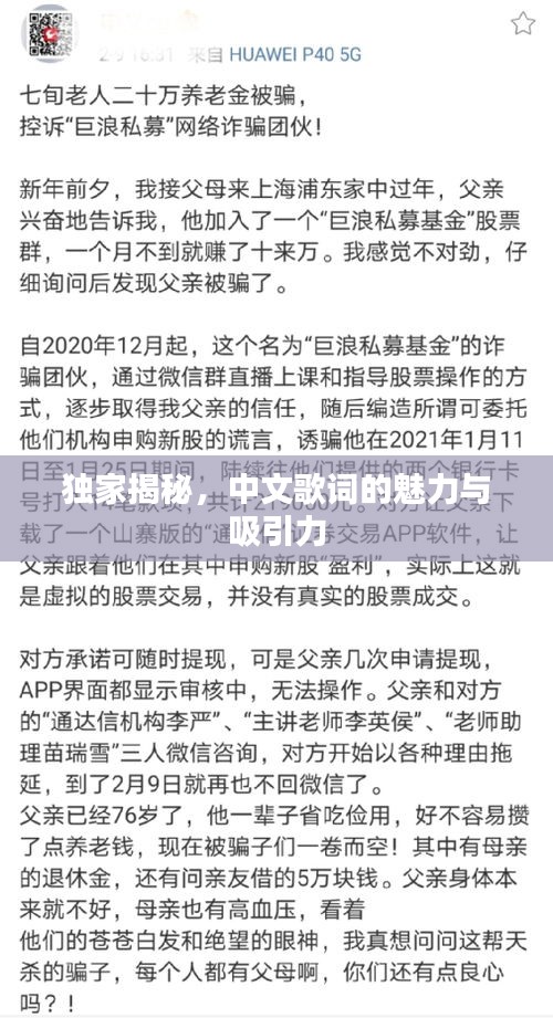 独家揭秘，中文歌词的魅力与吸引力