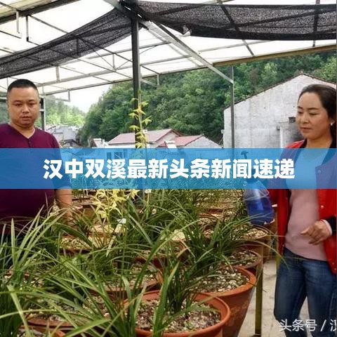 汉中双溪最新头条新闻速递