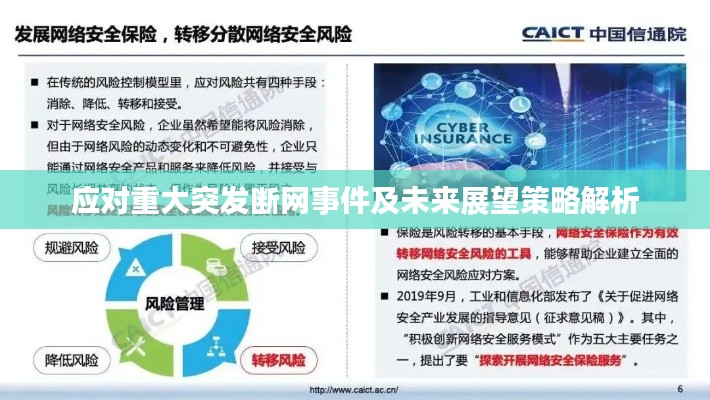 应对重大突发断网事件及未来展望策略解析