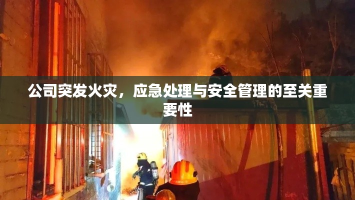 公司突发火灾，应急处理与安全管理的至关重要性