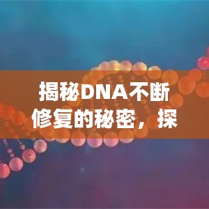 揭秘DNA不断修复的秘密，探寻生命奥秘之旅