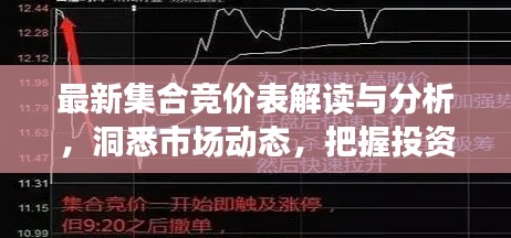 最新集合竞价表解读与分析，洞悉市场动态，把握投资机会！