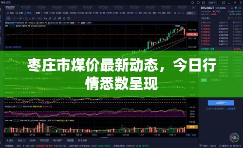 枣庄市煤价最新动态，今日行情悉数呈现
