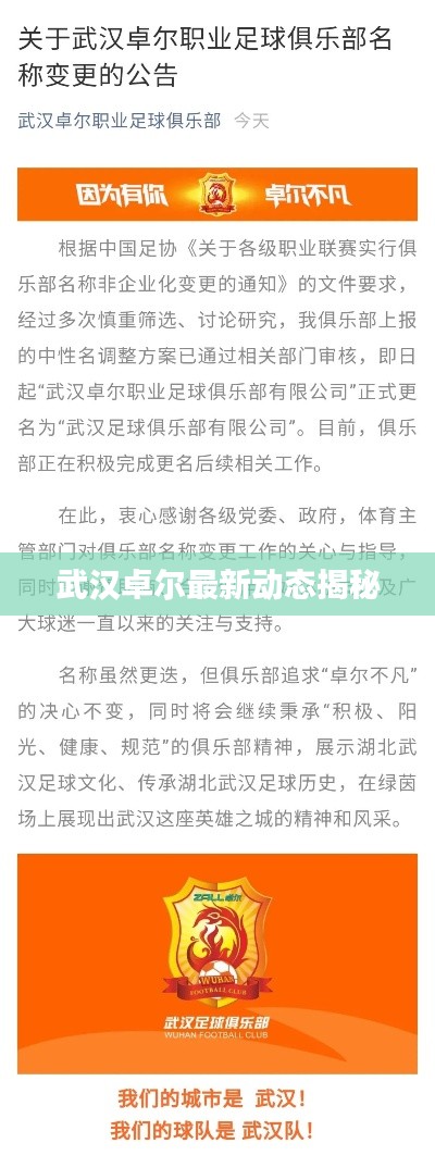 武汉卓尔最新动态揭秘