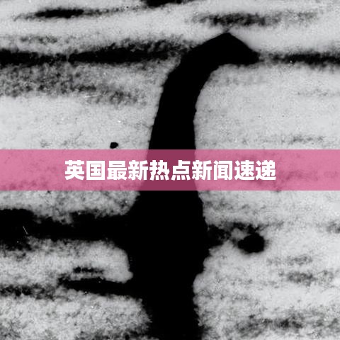 英国最新热点新闻速递