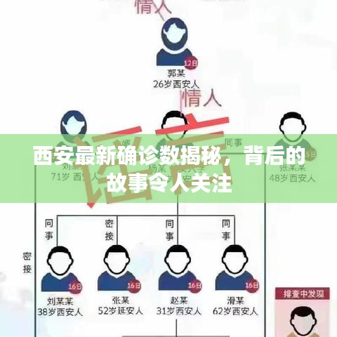 西安最新确诊数揭秘，背后的故事令人关注