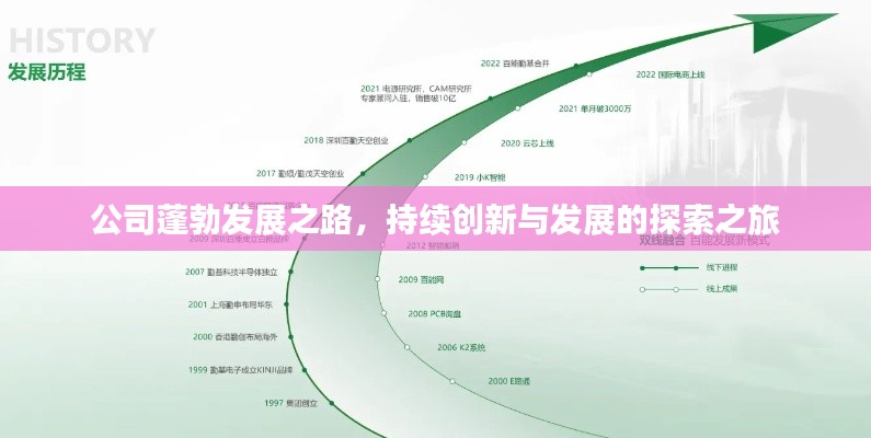 公司蓬勃发展之路，持续创新与发展的探索之旅