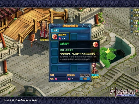 神雕侠侣版本,实地执行考察方案 NE版_v6.667