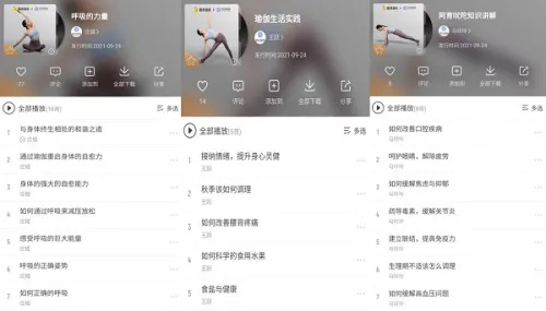 酷我音乐老版本下载，创意工具的力量与结构化推进计划评估策略版_v4.281