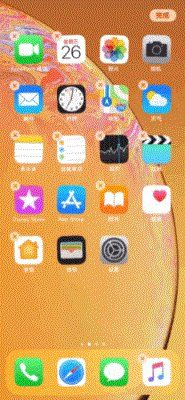 iPhone 5版本,动态解读神器XR_v4.884,你的宝藏应用!