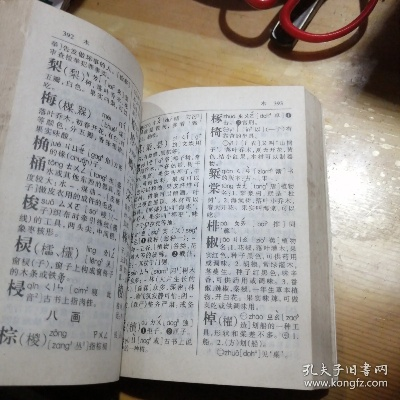 潮州音字典官方下载,实地执行考察数据 潮流版_v2.682