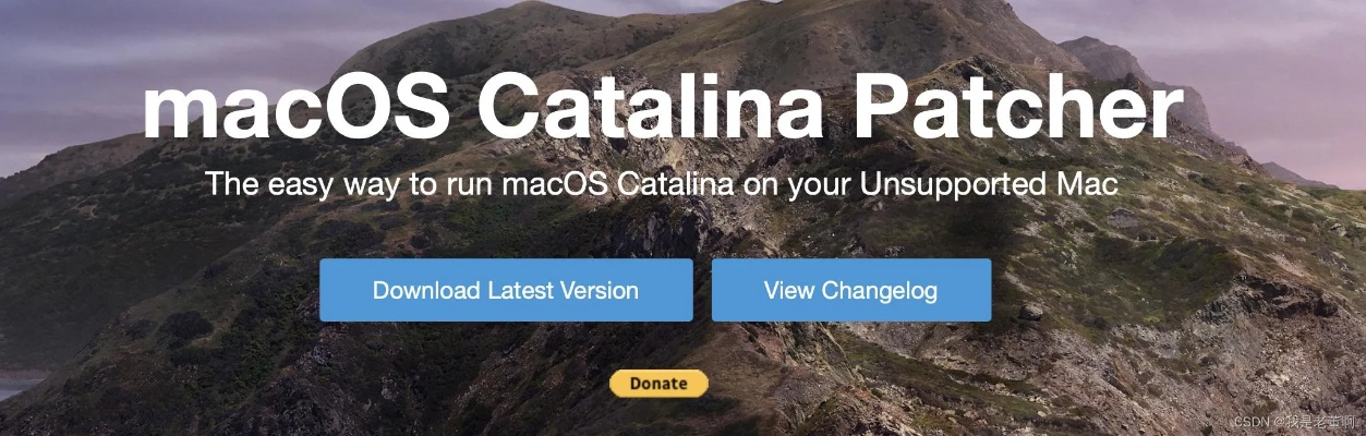 aa单机版跟canva官方下载,实地数据验证策略_PalmOS1_v1.361