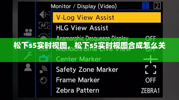 松下s5实时视图，松下s5实时视图合成怎么关 