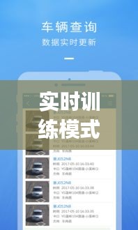 实时训练模式，实战训练平台app 