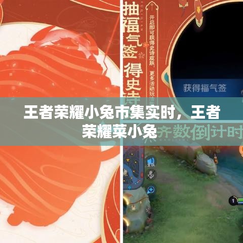 王者荣耀小兔市集实时，王者荣耀菜小兔 