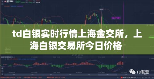 td白银实时行情上海金交所，上海白银交易所今日价格 