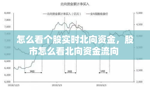 怎么看个股实时北向资金，股市怎么看北向资金流向 