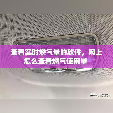 查看实时燃气量的软件，网上怎么查看燃气使用量 