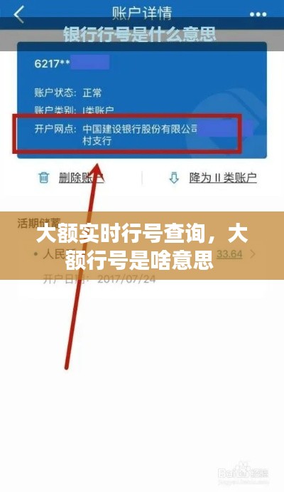 大额实时行号查询，大额行号是啥意思 