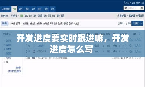 开发进度要实时跟进嘛，开发进度怎么写 