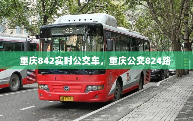 重庆842实时公交车，重庆公交824路 