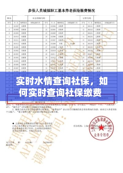 实时水情查询社保，如何实时查询社保缴费 