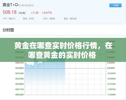 黄金在哪查实时价格行情，在哪查黄金的实时价格 