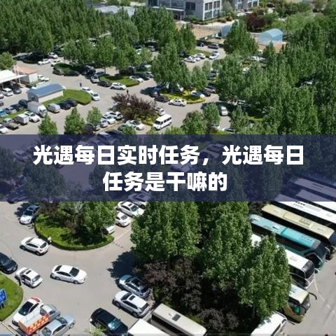 光遇每日实时任务，光遇每日任务是干嘛的 