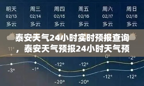 泰安天气24小时实时预报查询，泰安天气预报24小时天气预报1 