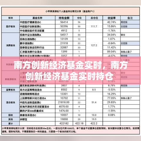 南方创新经济基金实时，南方创新经济基金实时持仓 