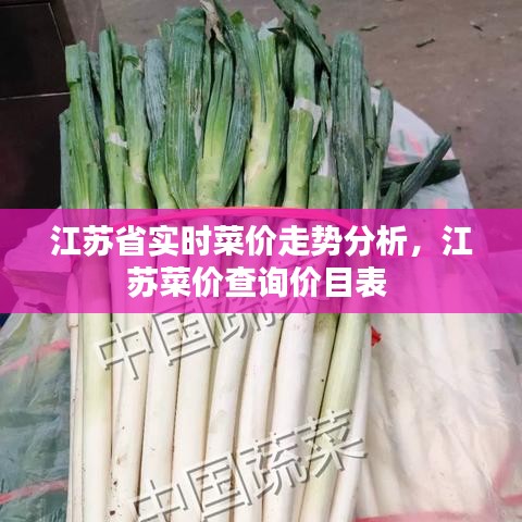 江苏省实时菜价走势分析，江苏菜价查询价目表 