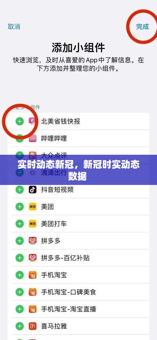 实时动态新冠，新冠时实动态数据 